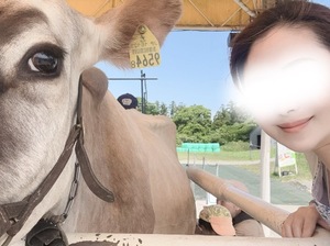 Yu Shiraneの写メ日記｜エレガント 吉原高級店ソープ