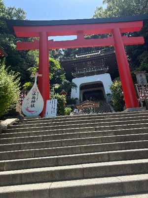 Yu Shiraneの写メ日記｜エレガント 吉原高級店ソープ