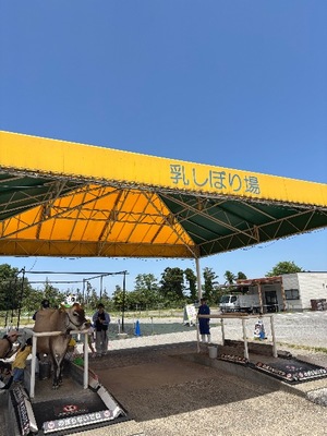 Yu Shiraneの写メ日記｜エレガント 吉原高級店ソープ