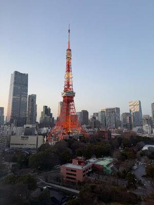 Emi Terasawaの写メ日記｜エレガント 川崎高級店ソープ