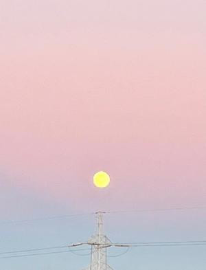 Mami Nonakaの写メ日記｜エレガント 川崎高級店ソープ