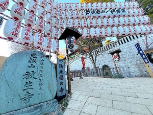 Mami Nonakaの写メ日記｜エレガント 吉原高級店ソープ