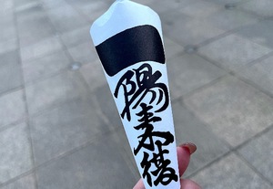 Mami Nonakaの写メ日記｜エレガント 吉原高級店ソープ