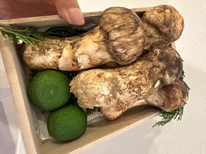 Sanae Himuroの写メ日記｜エレガント 吉原高級店ソープ