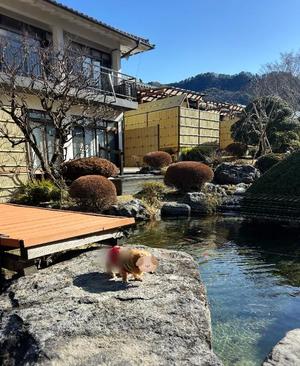 Sanae Himuroの写メ日記｜エレガント 吉原高級店ソープ