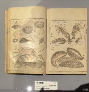 Ayami Imaiの写メ日記｜エレガント 吉原高級店ソープ