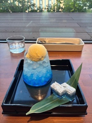 Ayami Imaiの写メ日記｜エレガント 吉原高級店ソープ