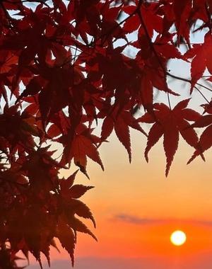 Ayami Imaiの写メ日記｜エレガント 川崎高級店ソープ