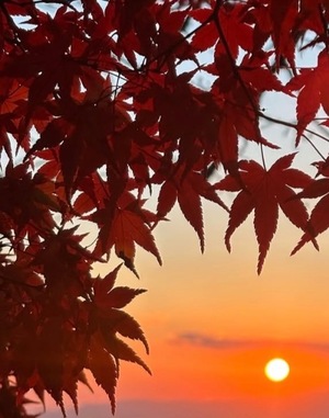 Ayami Imaiの写メ日記｜エレガント 川崎高級店ソープ