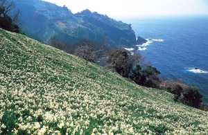 Ayami Imaiの写メ日記｜エレガント 川崎高級店ソープ