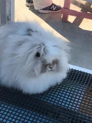 Ayami Imaiの写メ日記｜エレガント 川崎高級店ソープ