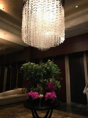 Ayami Imaiの写メ日記｜エレガント 吉原高級店ソープ