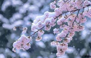 Ayami Imaiの写メ日記｜エレガント 吉原高級店ソープ