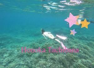 Honoka Tachibanaの写メ日記｜エレガント 吉原高級店ソープ