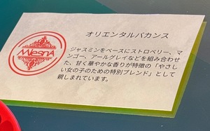 Rin Izumiの写メ日記｜エレガント 吉原高級店ソープ