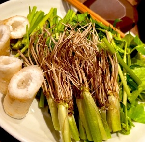 Rin Izumiの写メ日記｜エレガント 吉原高級店ソープ