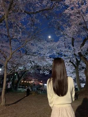 Shizuku Tsukinoの写メ日記｜エレガント 川崎高級店ソープ