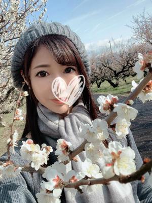 Shizuku Tsukinoの写メ日記｜エレガント 川崎高級店ソープ