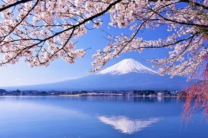 Shizuku Tsukinoの写メ日記｜エレガント 川崎高級店ソープ