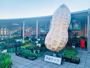 Shizuku Tsukinoの写メ日記｜エレガント 吉原高級店ソープ