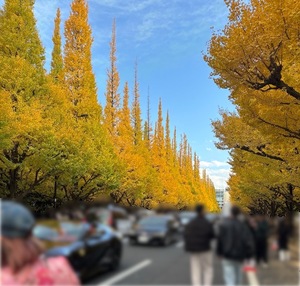 Mao Joukaの写メ日記｜エレガント 吉原高級店ソープ