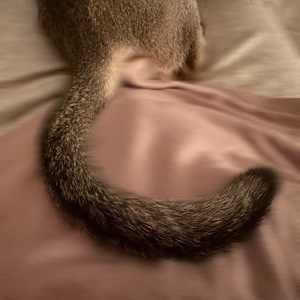 Sena Mizuharaの写メ日記｜エレガント 川崎高級店ソープ