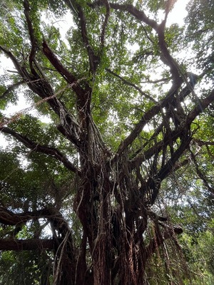 Sena Mizuharaの写メ日記｜エレガント 吉原高級店ソープ