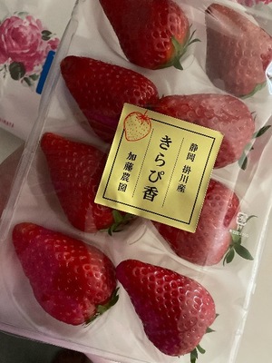 Megumi Niiyamaの写メ日記｜エレガント 川崎高級店ソープ