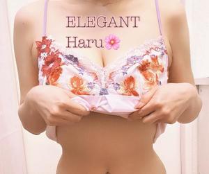 Haru Shinozakiの写メ日記｜エレガント 吉原高級店ソープ