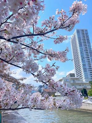 五月 ゆうの写メ日記｜エトワール 吉原高級店ソープ