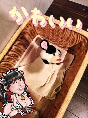 小桜みるく。の写メ日記｜エトワール 吉原高級店ソープ