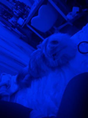 シュリ【20代】の写メ日記｜ガータープリンセス&ミセス 吉原格安店ソープ