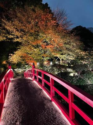 藤江美羽の写メ日記｜ハールブルク 吉原高級店ソープ