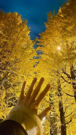 藤江美羽の写メ日記｜ハールブルク 吉原高級店ソープ