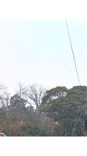 新垣いちかの写メ日記｜ハールブルク 吉原高級店ソープ