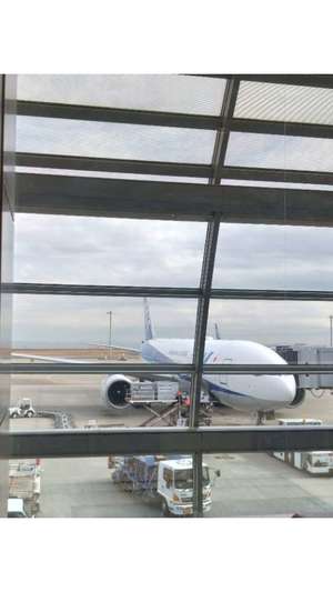 新垣いちかの写メ日記｜ハールブルク 吉原高級店ソープ