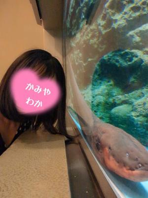 神谷和花の写メ日記｜ハールブルク 吉原高級店ソープ