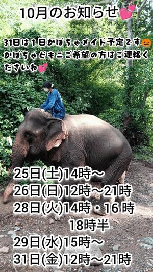 神谷和花の写メ日記｜ハールブルク 吉原高級店ソープ