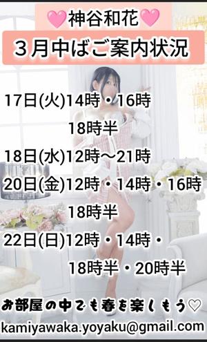 神谷和花の写メ日記｜ハールブルク 吉原高級店ソープ