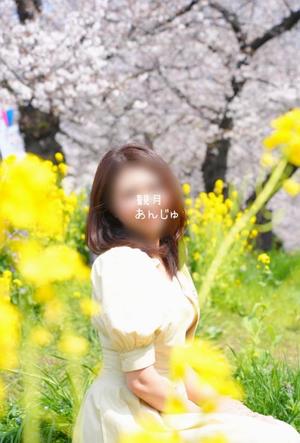 観月あんじゅの写メ日記｜ハールブルク 吉原高級店ソープ