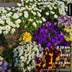 浜川 楓の写メ日記｜ハールブルク 吉原高級店ソープ