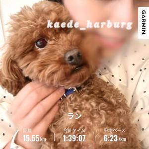 浜川 楓の写メ日記｜ハールブルク 吉原高級店ソープ