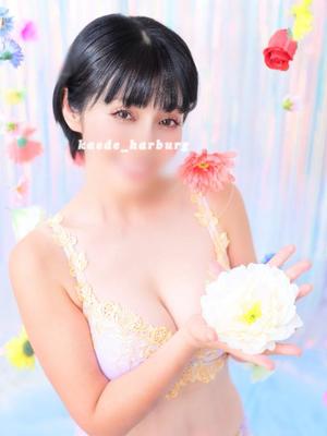 浜川 楓の写メ日記｜ハールブルク 吉原高級店ソープ