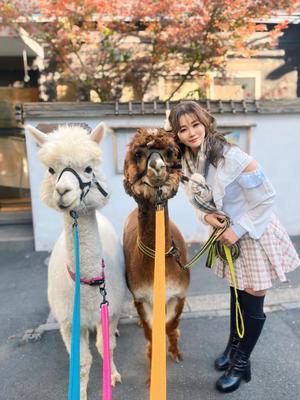 岩佐芽奈の写メ日記｜ハールブルク 吉原高級店ソープ