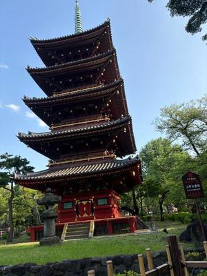 橘 杏紗の写メ日記｜ハールブルク 吉原高級店ソープ