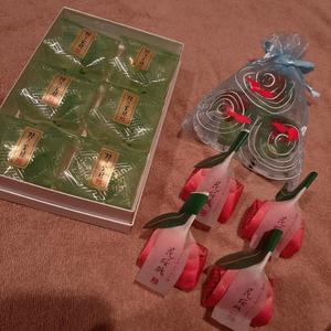 橘 杏紗の写メ日記｜ハールブルク 吉原高級店ソープ