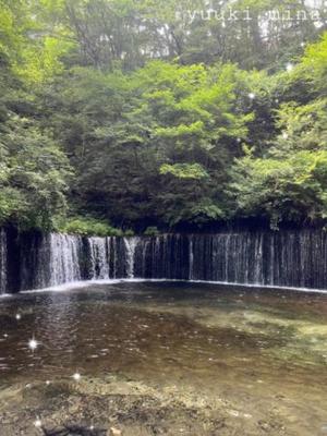 悠木美那の写メ日記｜ハールブルク 吉原高級店ソープ