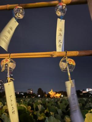 乃木風香の写メ日記｜ハールブルク 吉原高級店ソープ