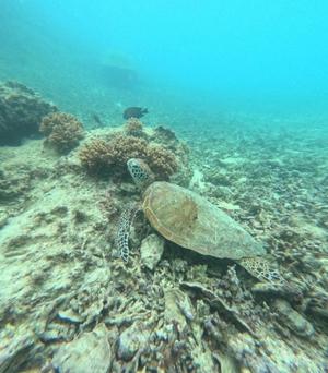 乃木風香の写メ日記｜ハールブルク 吉原高級店ソープ