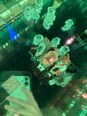 乃木風香の写メ日記｜ハールブルク 吉原高級店ソープ